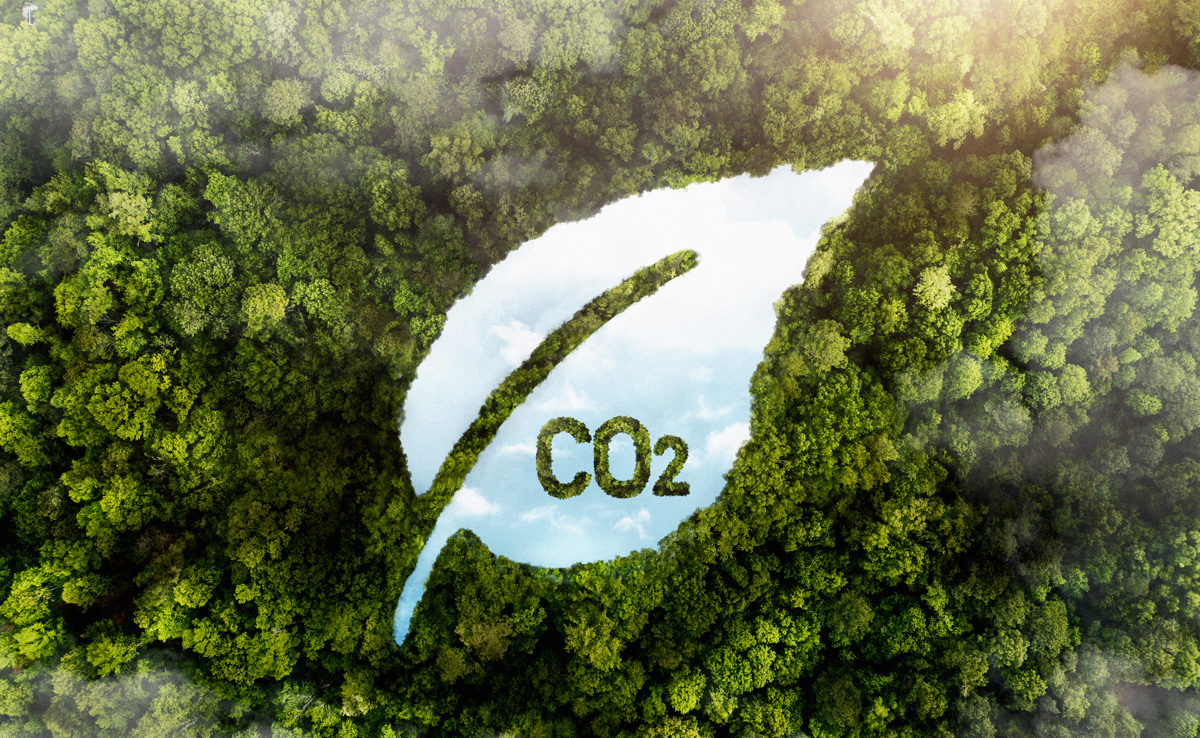 Carbon Capture and Utilization (CCU): Social Impact Assesment - CoCaCO2la Project